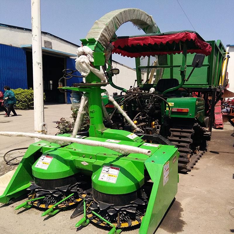 那些農(nóng)民在夏季收獲的地方去了哪里？ 